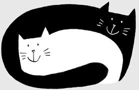 gatto nero gatta bianca minibombo.jpg