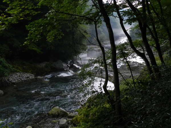 Sentiero col torrente - Giappone