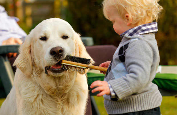 Cane e bambino